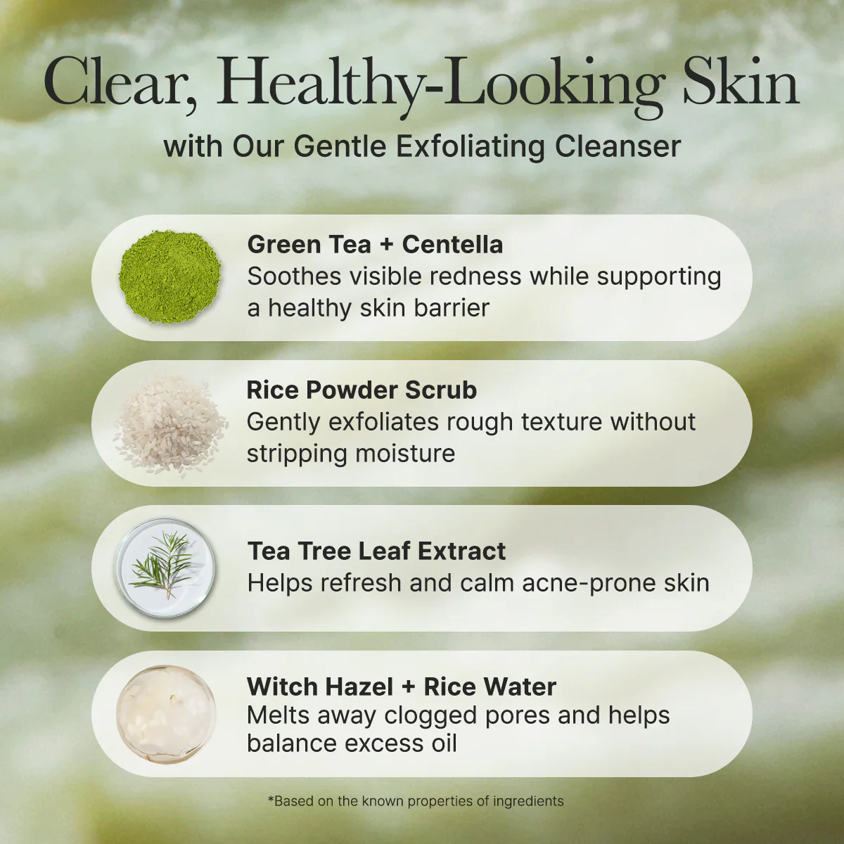 ARENCIA Fresh Green Rice Mochi Cleanser 120g - Image 5